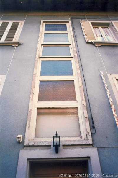 IMG-01.jpg