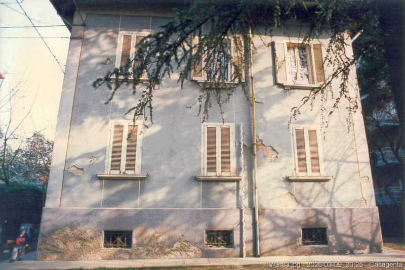 IMG-03.jpg
