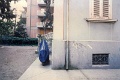 IMG-10