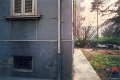 IMG-11