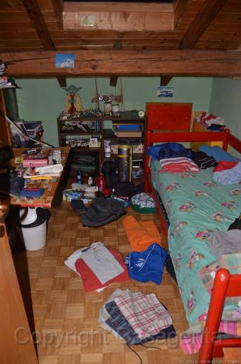 D11_4908.jpg
