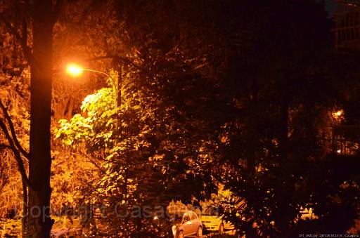 D11_4920.jpg