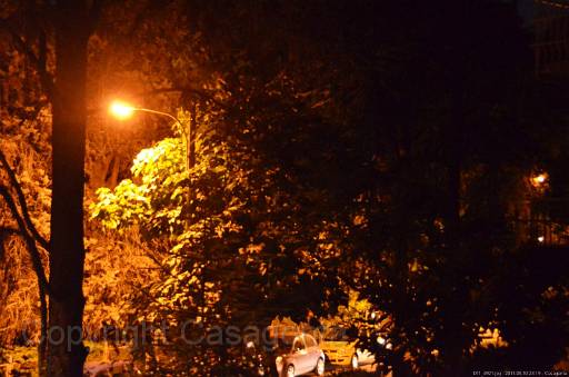 D11_4921.jpg