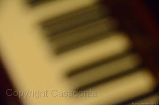 D11_4927.jpg