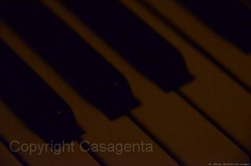 D11_4930.jpg