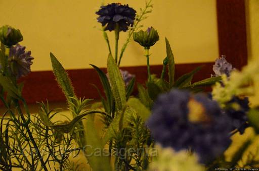 D11_4933.jpg