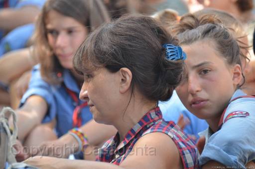 D13_8640.jpg
