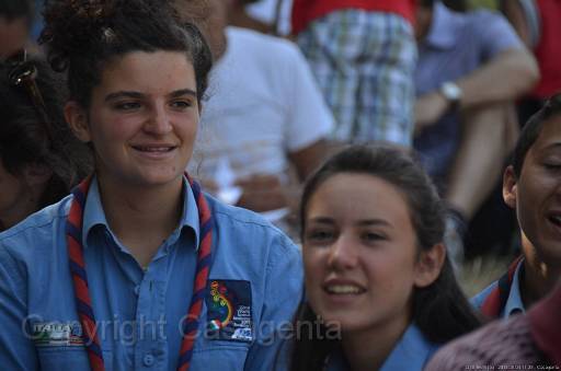 D13_8644.jpg
