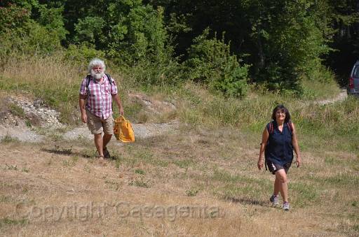 D13_8659.jpg