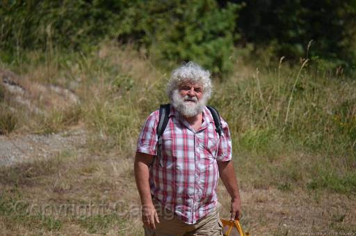 D13_8660.jpg