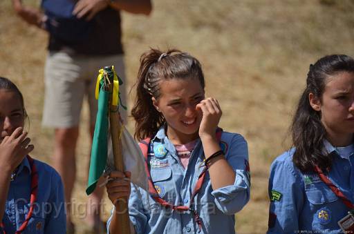 D13_8675.jpg