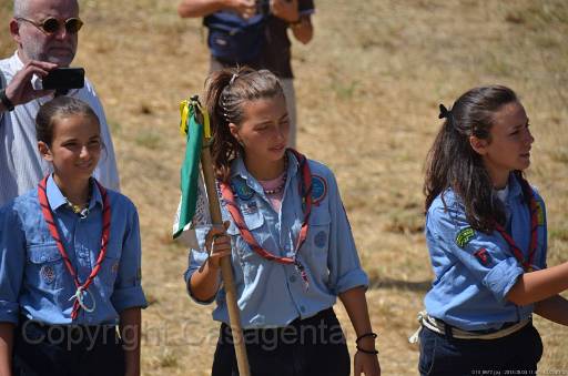 D13_8677.jpg