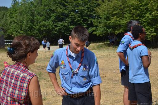 D13_8681.jpg