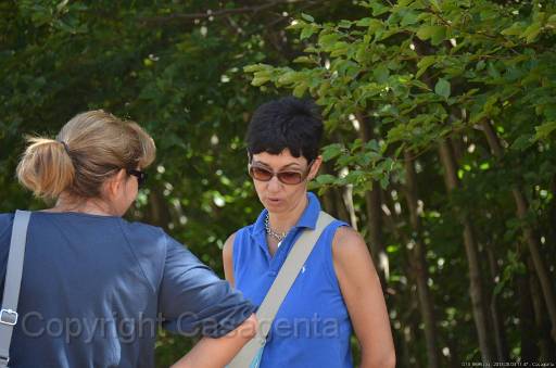 D13_8695.jpg