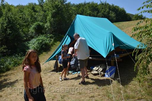 D13_8699.jpg