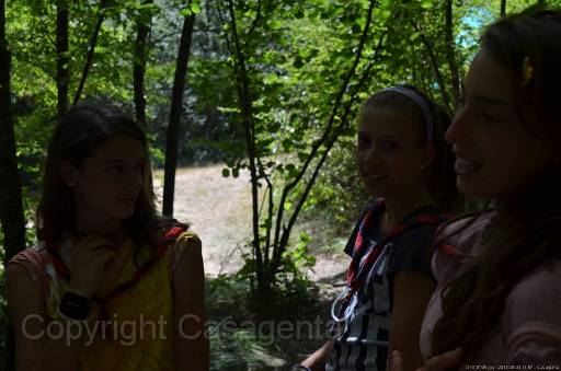 D13_8706.jpg