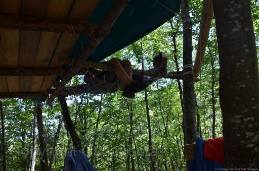 D13_8720.jpg