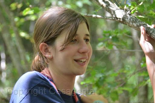 D13_8728.jpg