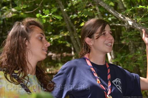 D13_8729.jpg