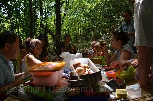 D13_8752.jpg