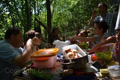 D13_8754.jpg