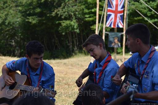 D13_8774.jpg