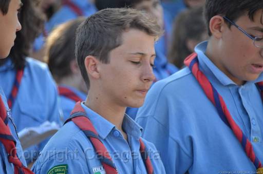 D13_8782.jpg