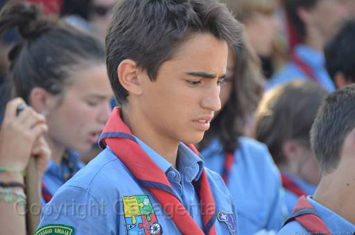 D13_8783.jpg
