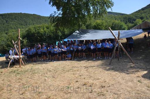 D13_8784.jpg