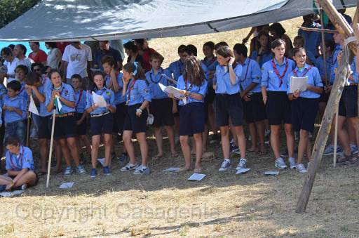 D13_8785.jpg