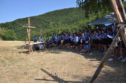 D13_8786.jpg