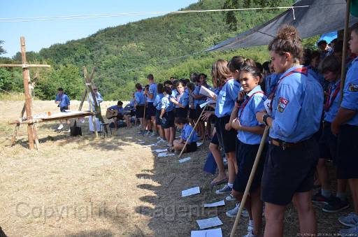 D13_8792.jpg