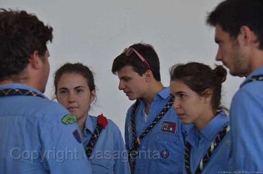D13_8825.jpg