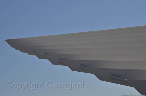 D13_8828.jpg