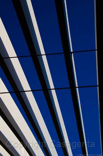 D13_8835.jpg