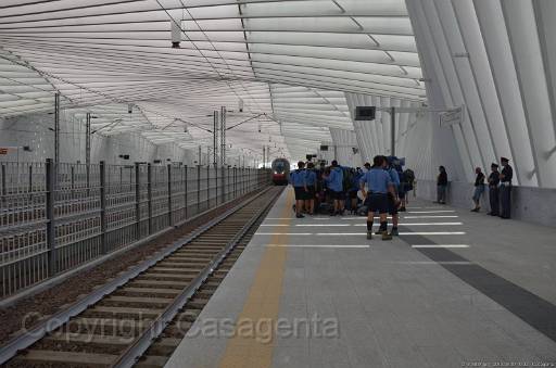 D13_8837.jpg