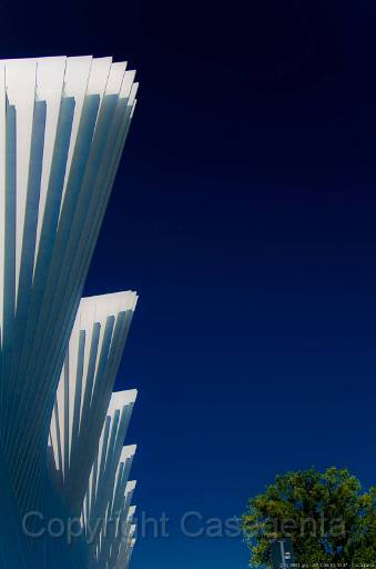 D13_8851.jpg