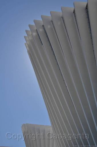 D13_8854.jpg