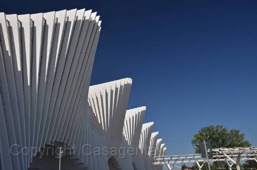 D13_8855.jpg