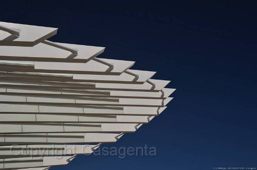 D13_8856.jpg