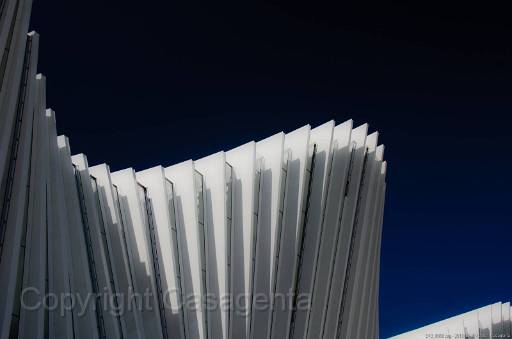 D13_8858.jpg