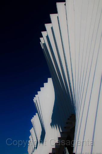 D13_8861.jpg