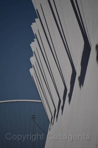 D13_8862.jpg