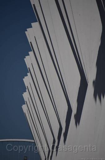 D13_8863.jpg