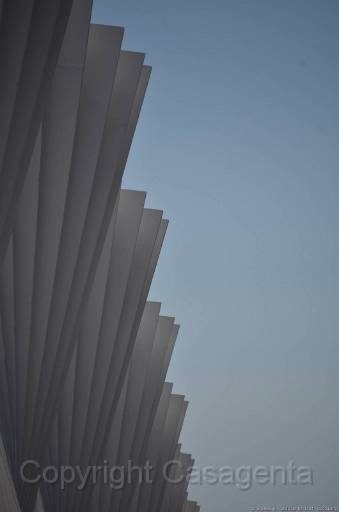 D13_8866.jpg