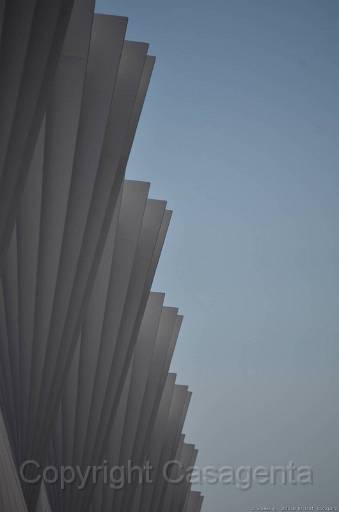 D13_8867.jpg