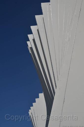 D13_8871.jpg