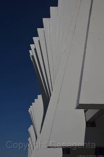 D13_8872.jpg