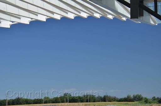 D13_8876.jpg