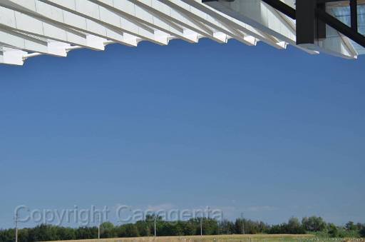 D13_8877.jpg